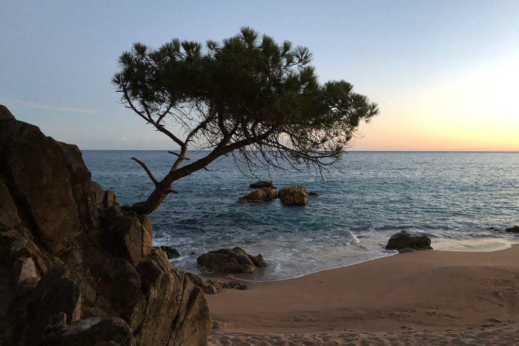 Autors d'arreu de la Mediterrània tenen una cita al Festival MOT.